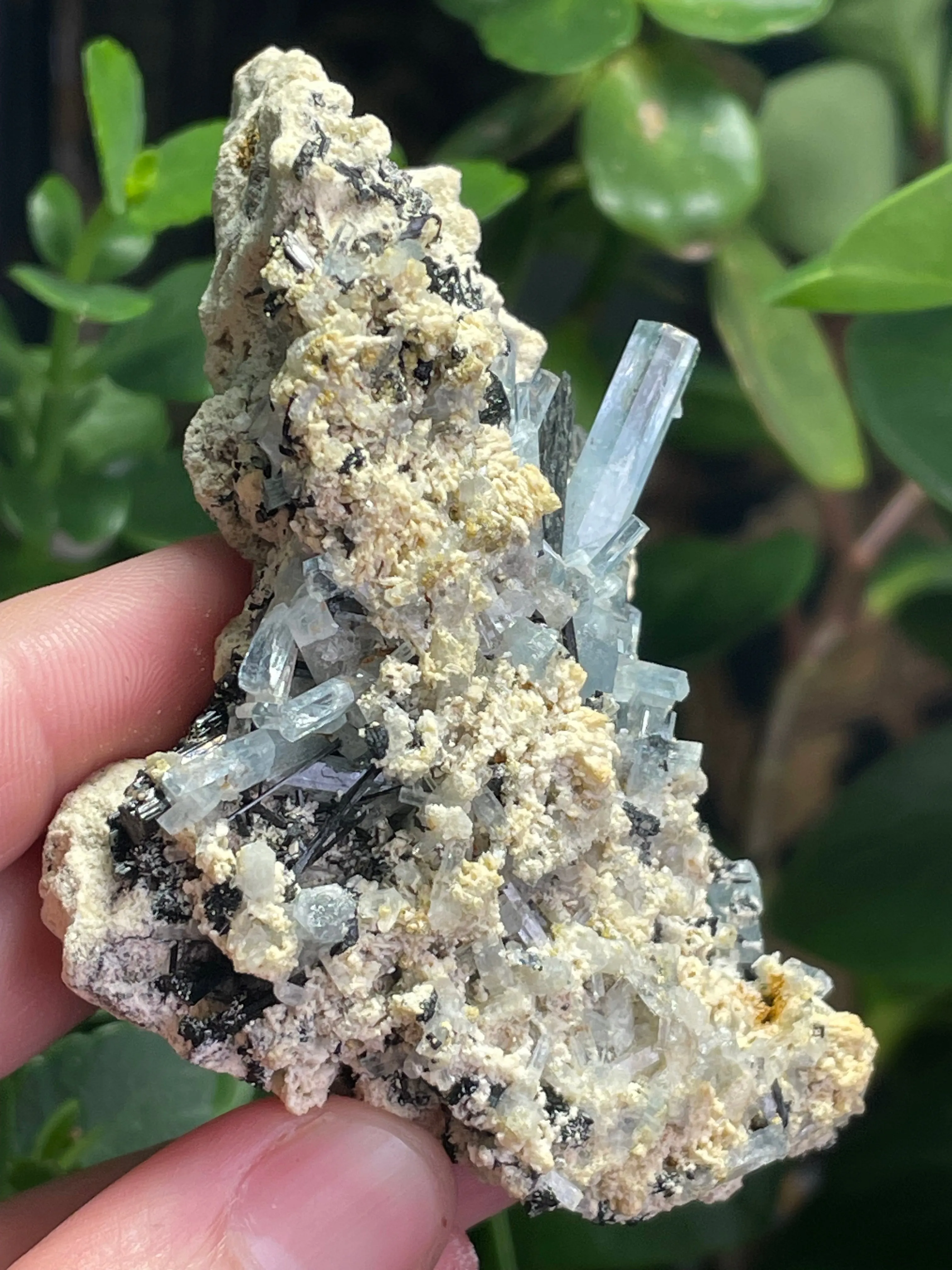 Aquamarine Specimen on Feldspar with Black Tourmaline, from Erongo Mountain, Erongo Region, Namibia