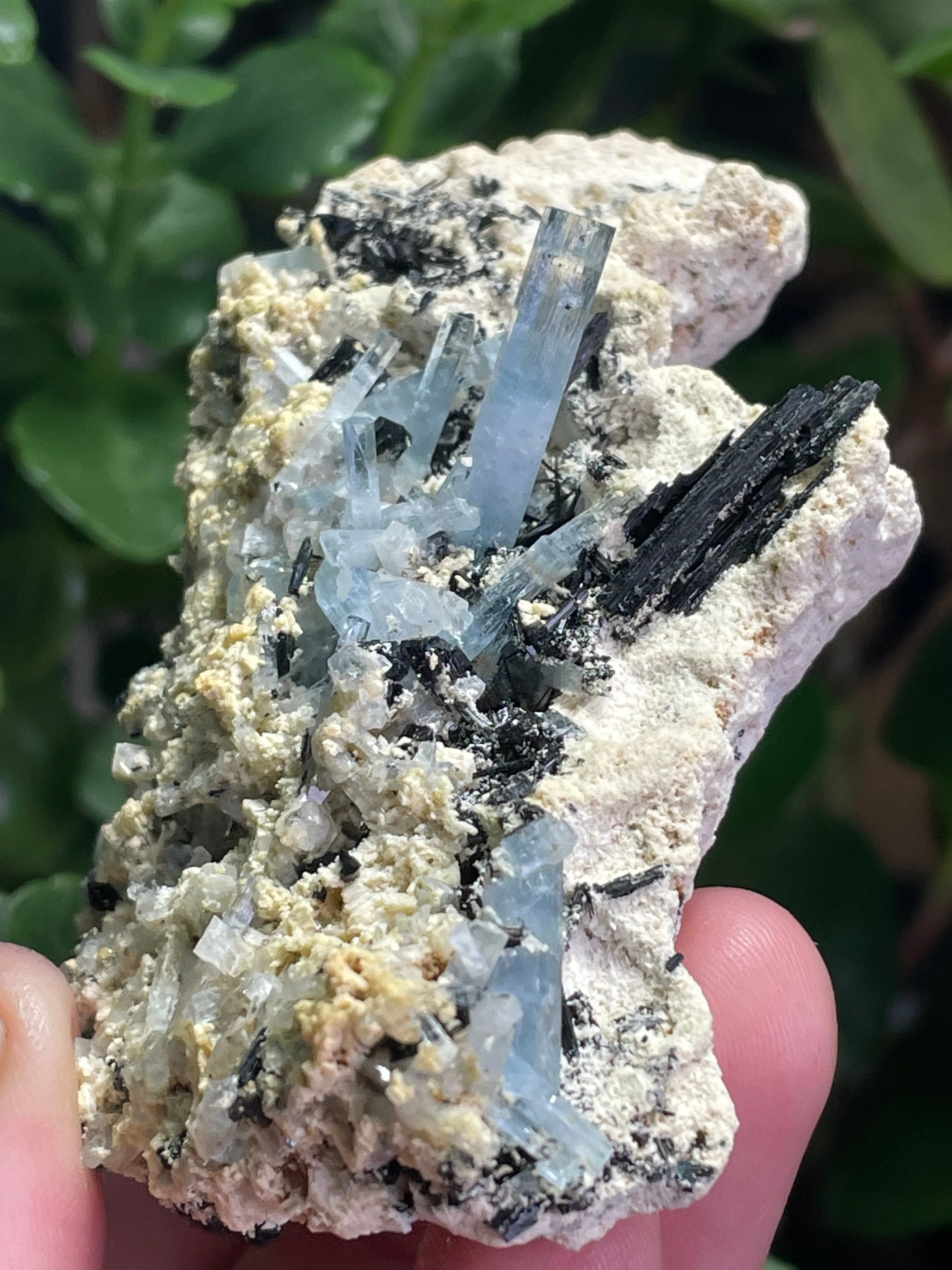 Aquamarine Specimen on Feldspar with Black Tourmaline, from Erongo Mountain, Erongo Region, Namibia