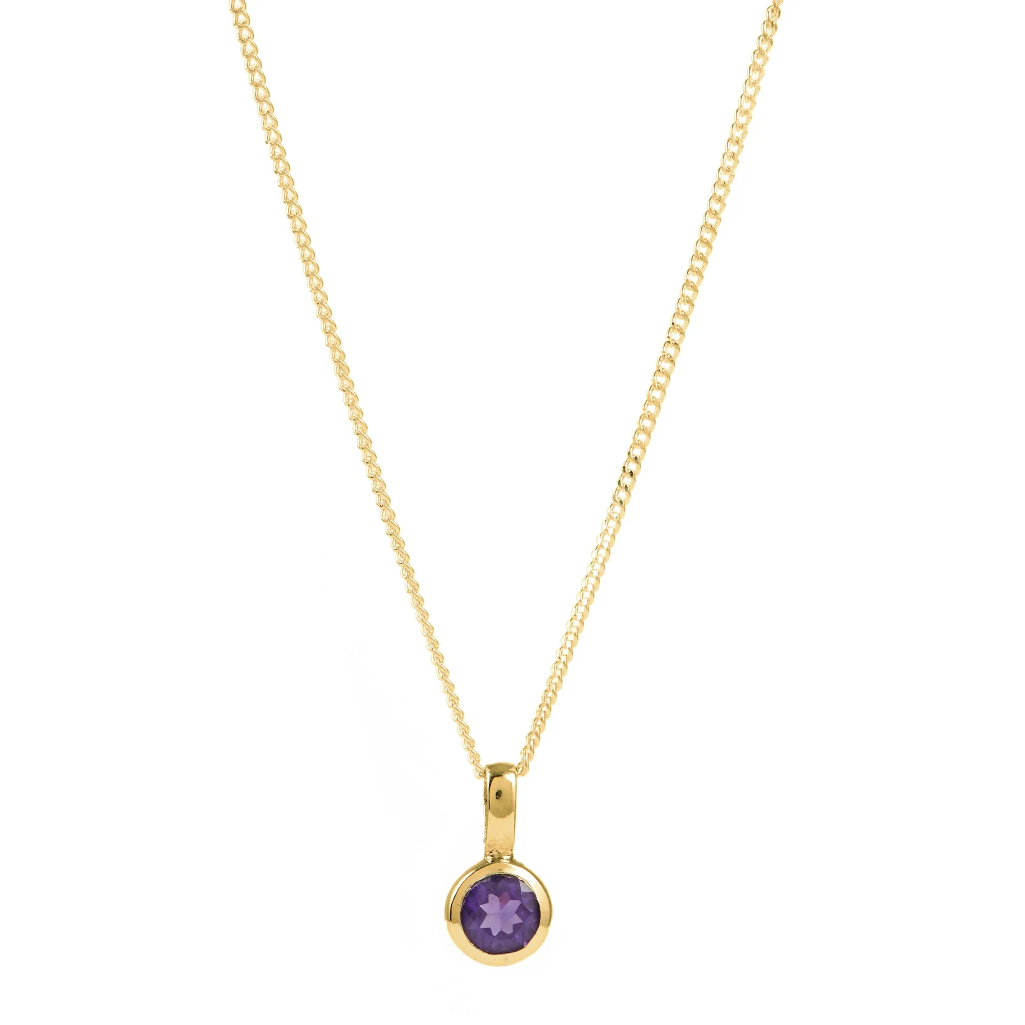 February Birthstone Charm Necklace - Amethyst