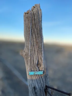 The Silver Turquoise Bar Necklace